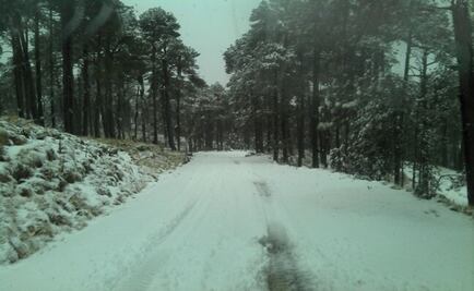 En riesgo, viabilidad del Nevado de Toluca