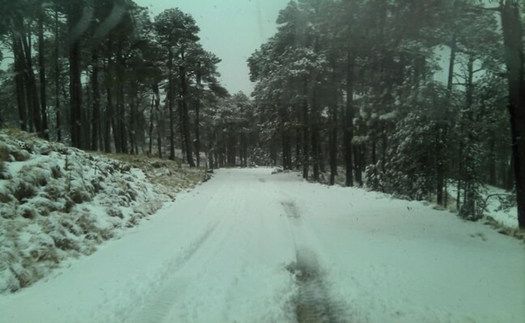 (Foto: Archivo/El Universal)