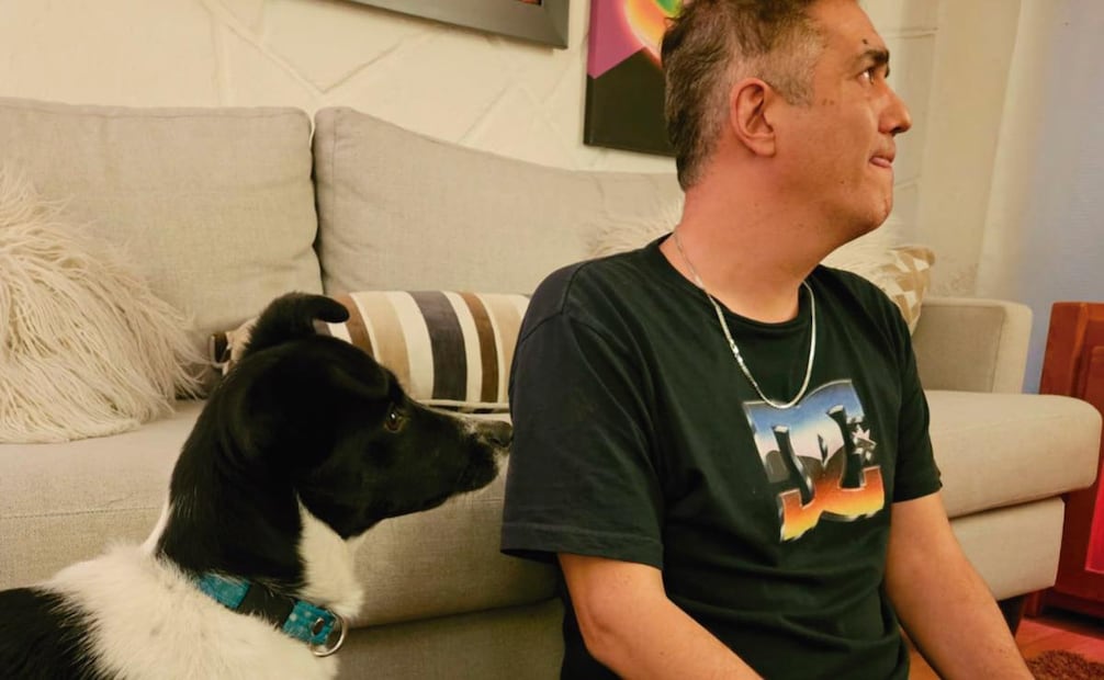 Famosos celebran el Día del Perro