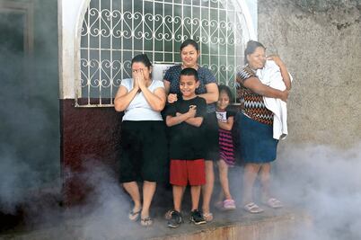 Sacan al ejército para combatir al zika en AL