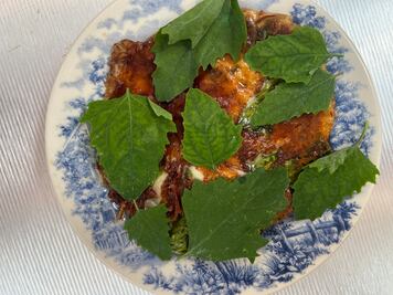 Coyota o la mesa como escenario