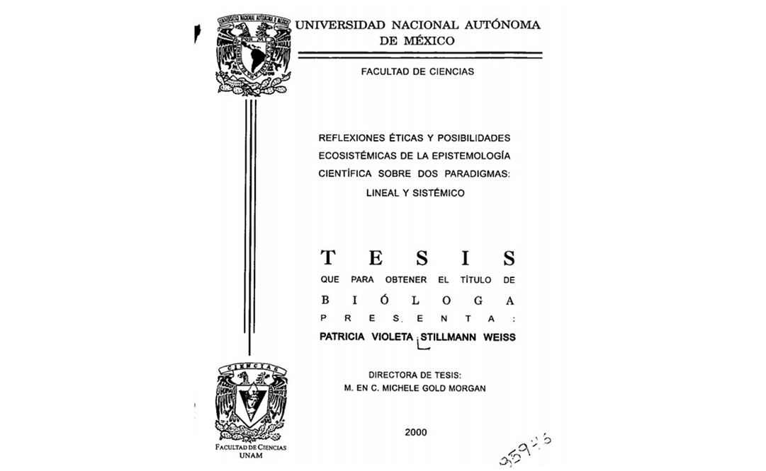 Tesis "Reflexiones éticas y posibilidades ecosistémicas de la epistemiología científica sobre dos paradigmas: lineal y sistémico", de Patricia Stillman. Imagen: Especial