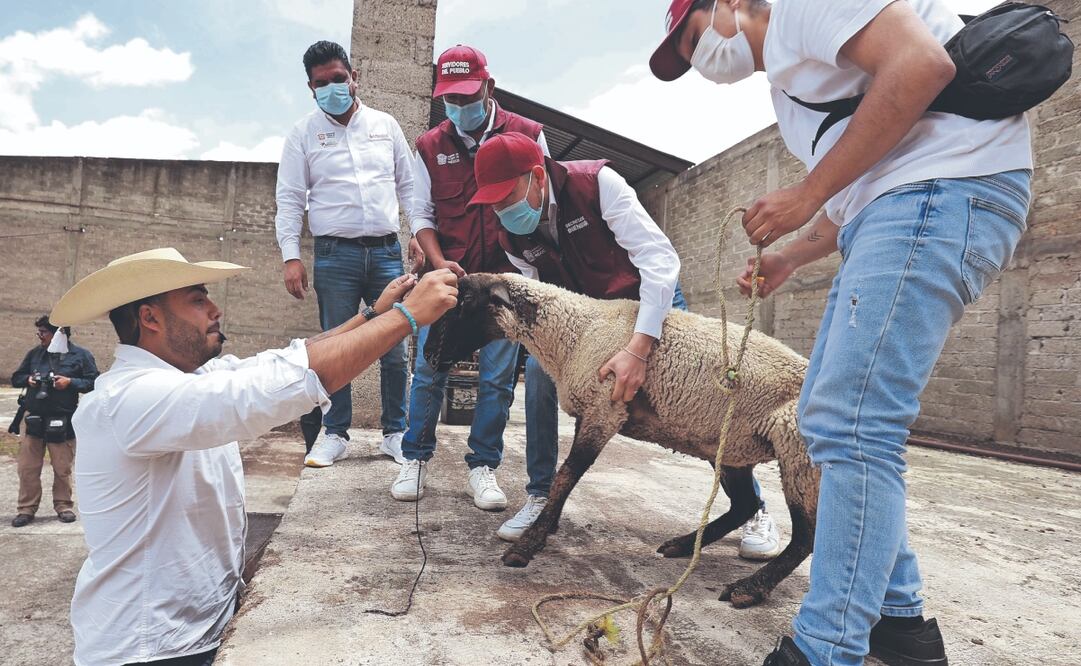 Bajo el brazo, habitantes de Tejupilco y una parte de Texcaltitlán se llevaron los animales que dieron autoridades. FOTO: ALEJANDRO VARGAS. EL UNIVERSAL