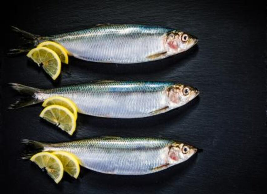 Razones por las que debemos consumir pescados y mariscos mexicanos