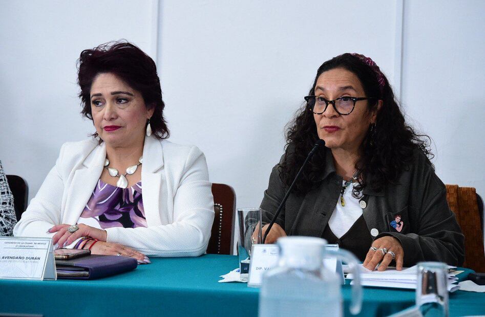 Explicó que los recursos se destinarán  para la operatividad del Instituto. (Foto: especial)