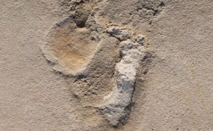 Descubren huellas de hace al menos seis millones de años, siendo las más antiguas conocidas de prehumanos