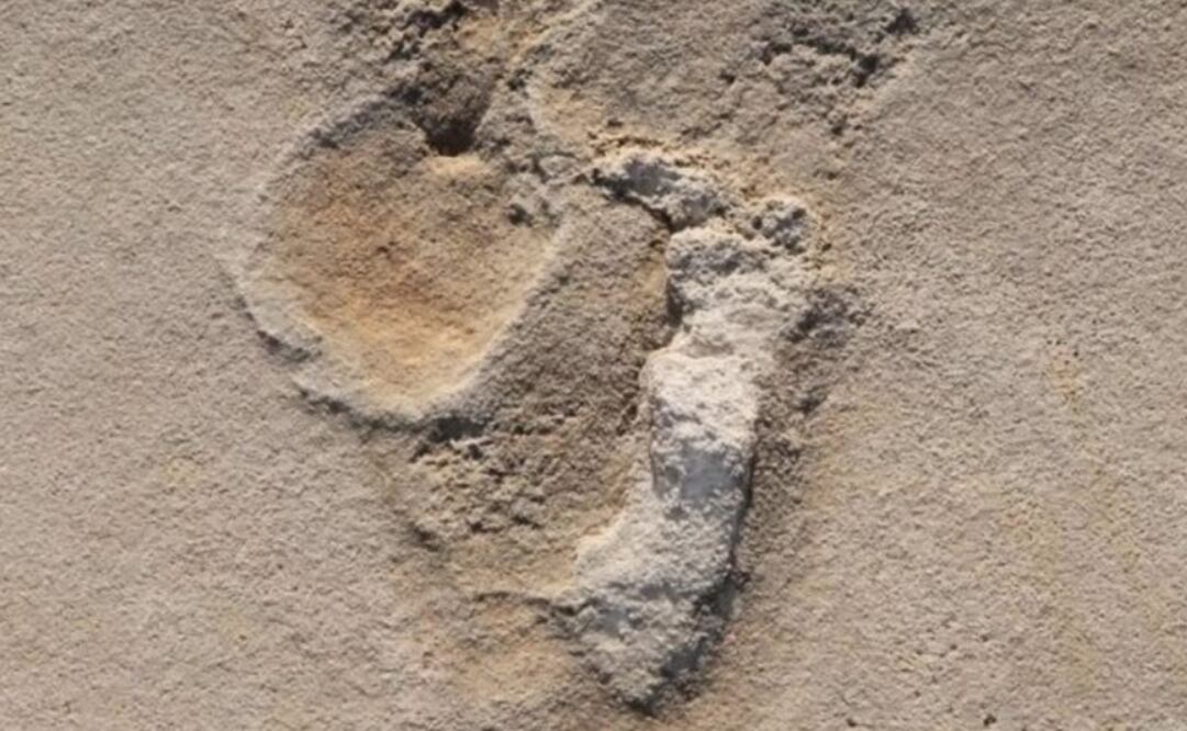 Huellas en la arena: una de las más de 50 huellas de los predecesores de los primeros humanos identificadas en 2017 cerca de Trachilos, Creta. Foto: PER AHLBERG, UPPSALA vía Europa Press