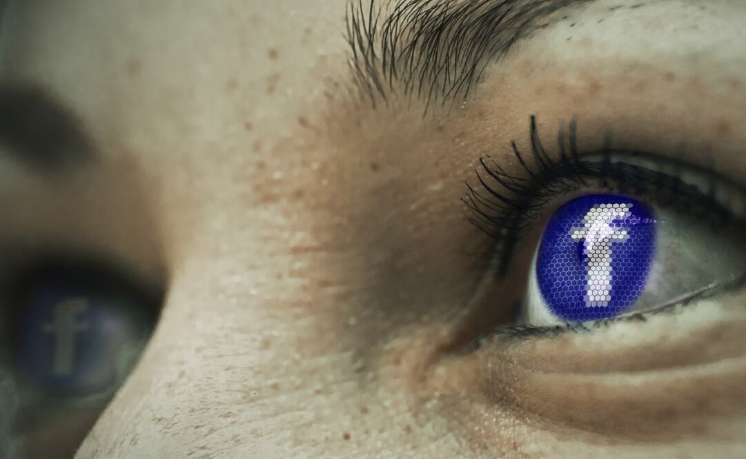 En total son 40 miembros que trabajarán de manera independiente. Imagen Pixabay