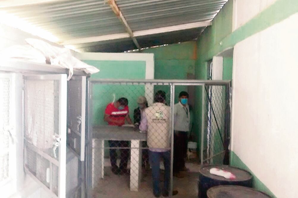 Autoridades ambientales y de salud colocaron sellos de suspensión de actividades en el Centro de Control Animal de Coyotepec (PROPA EM)