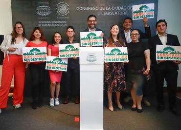 Plantea Movimiento Ciudadano que se nieguen permisos de construcción cuando haya derribo de árboles