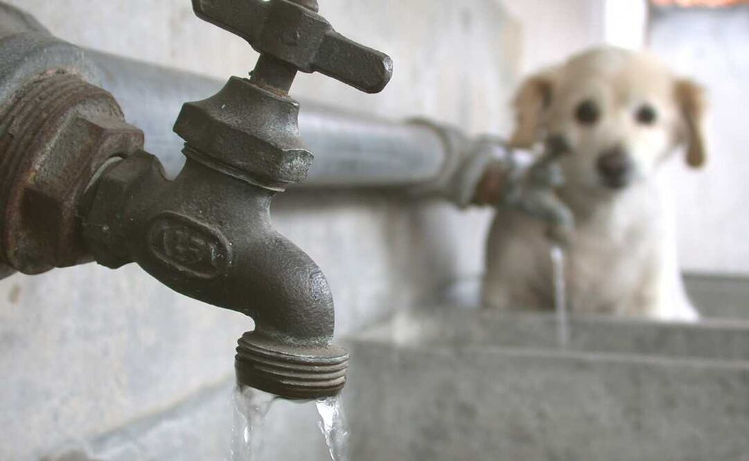 Habrá interrupciones en el suministro de agua en algunos puntos de la colonia Santa María la Ribera. Foto: Archivo EL UNIVERSAL