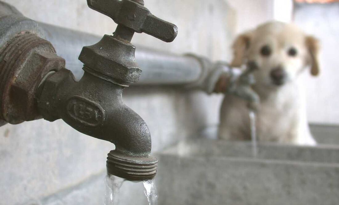 Habrá interrupciones en el suministro de agua en algunos puntos de la colonia Santa María la Ribera. Foto: Archivo EL UNIVERSAL