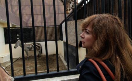 Pedirán a la Sedema inventario de especímenes de los zoológicos capitalinos 