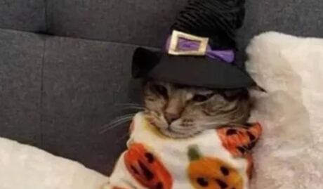 Halloween, Día de Muertos y un clásico del fútbol aburrido, en los memes de la semana