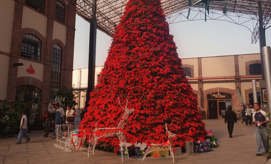 Foto: El Universal, archivo