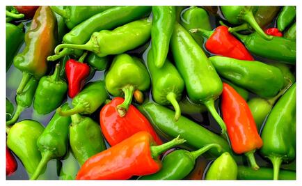 Todos los chiles del mundo