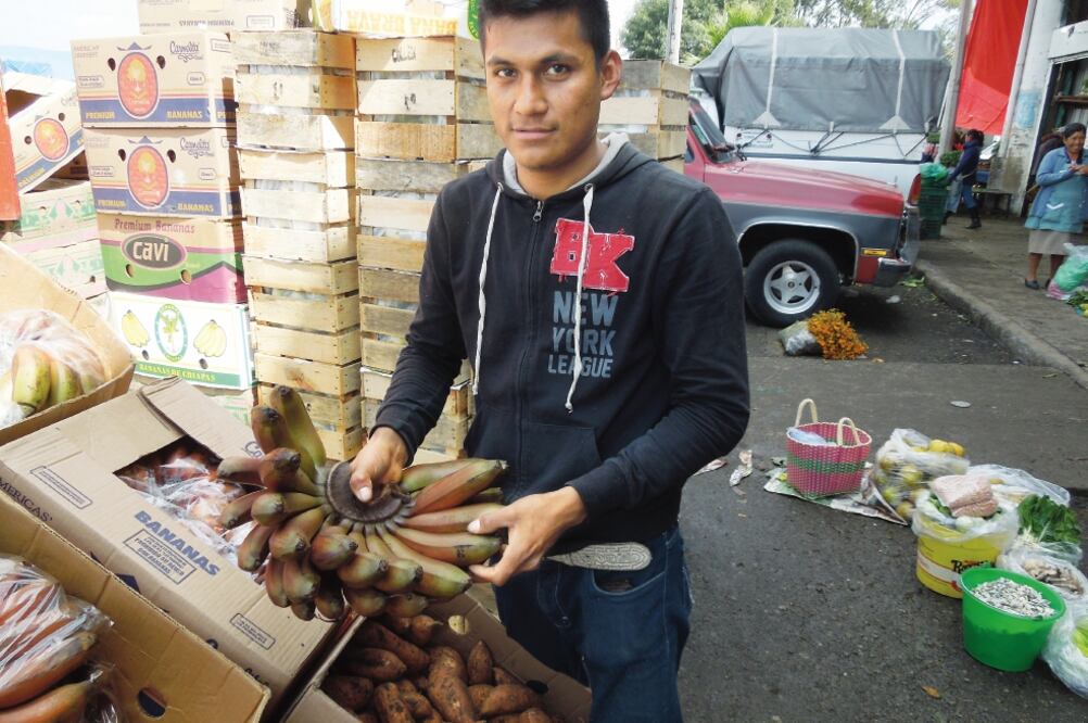 Empresarios ven interés en tener mayor acceso en productos agroindustriales, como el plátano (ARCHIVO EL UNIVERSAL)
