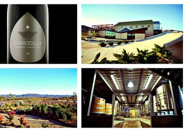 El vino mexicano también es sustentable