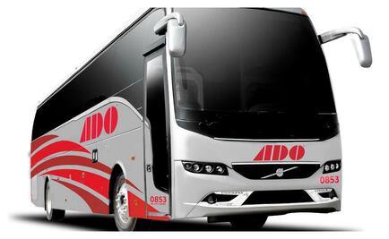 ADO lanza programa Afiliado