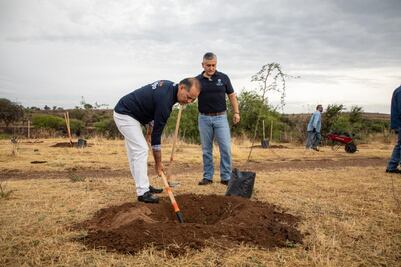 Aguascalientes destaca plantación de más de 54 mil árboles 