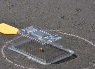 6 killed in Chilapa, Guerrero