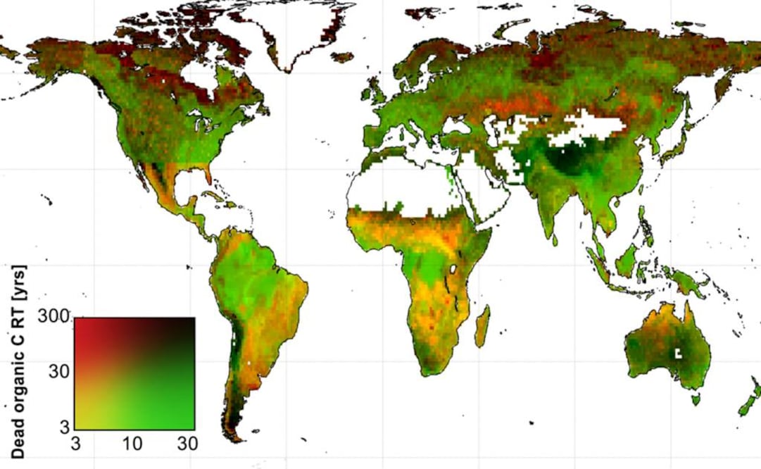 Las propiedades biológicas de las hojas, raíces y maderas en diferentes hábitats naturales afectan su capacidad para almacenar carbono en el mundo. Foto: NASA