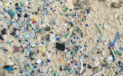 Hallan 400 millones de fragmentos plásticos en archipiélago del océano Índico