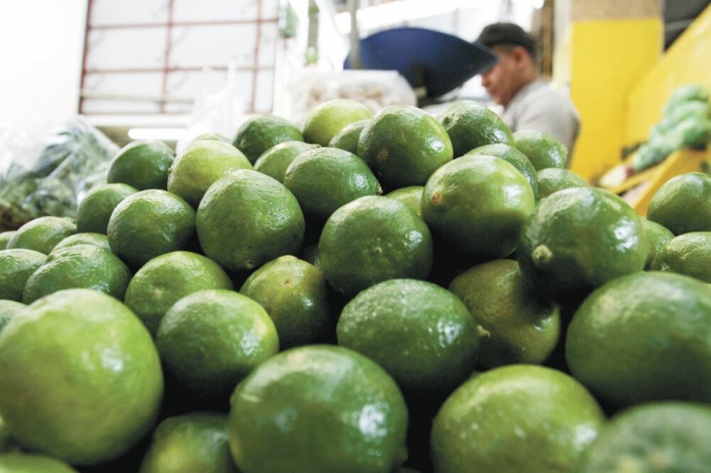 Según el Grupo Consultor de Mercados Agrícolas, el precio al consumidor del limón con semilla fue de casi 50 pesos el kilo en la semana del 4 al 8 de septiembre, 36% más caro que los 36.50 pesos a que se vendió hace un año. Foto: Archivo / EL UNIVERSAL