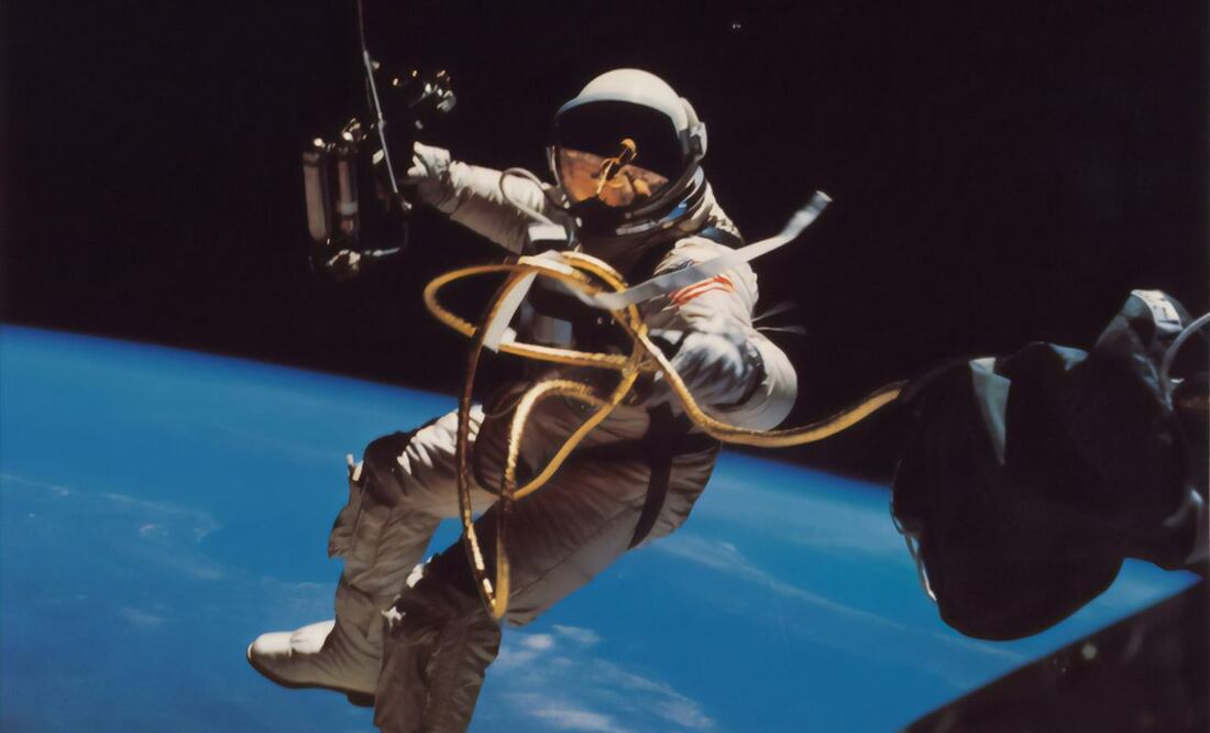 Un nuevo espectáculo inmersivo al sur de Ciudad de México. Foto: Unsplash