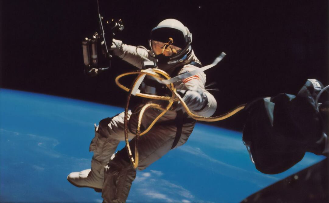 Un nuevo espectáculo inmersivo al sur de Ciudad de México. Foto: Unsplash