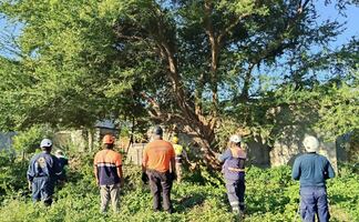 Pronostican fuertes vientos y bajas temperaturas por frente frío 19 en el Istmo de Oaxaca 