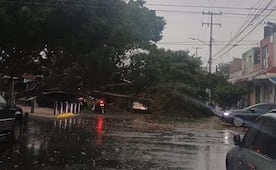 Primera tormenta en Guadalajara deja árboles caídos; inundaciones, apagones y vehículos varados