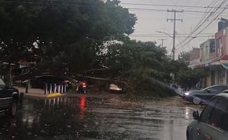 Primera tormenta en Guadalajara deja árboles caídos; inundaciones, apagones y vehículos varados