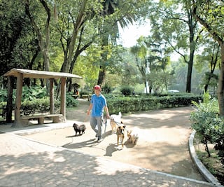 FGJ va por banda que roba mascotas