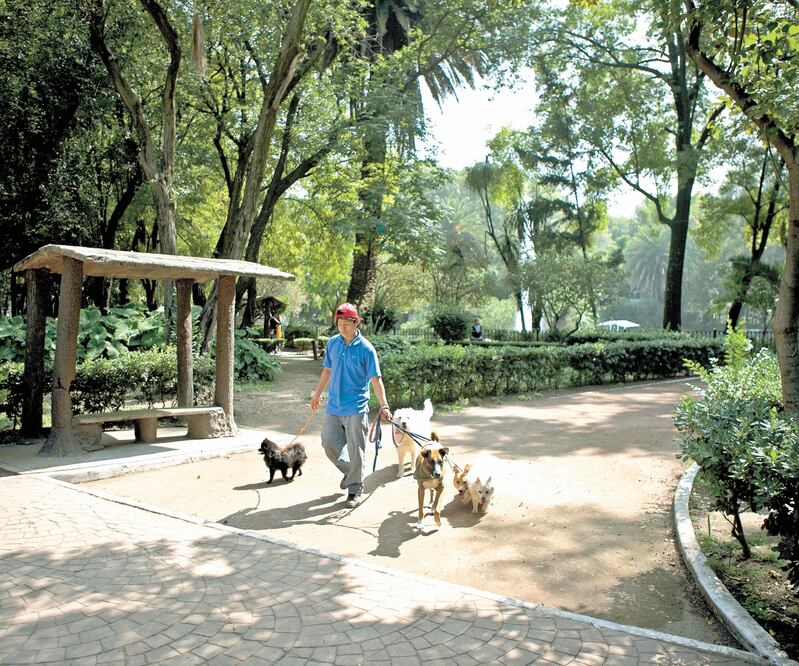 De acuerdo con autoridades, los cuidadores de perros son el blanco más fácil y recurrente de los delincuentes, debido al número de animales que tienen bajo su resguardo. ARCHIVO EL UNIVERSAL