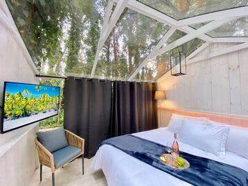 Glamping con techo cristal, ideal para parejas sin salir de CDMX 