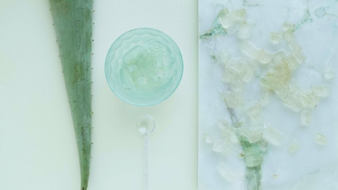 7 usos del gel de aloe vera para la piel y el pelo