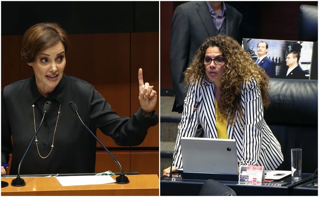 Foto: Captura Youtube Senado de la República