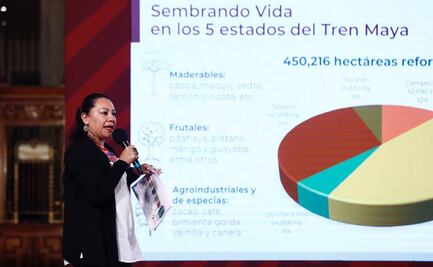 Semarnat garantiza plantar 450 millones de árboles en ruta del Tren Maya