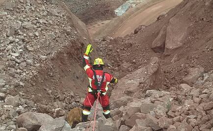 Binomios caninos localizan cuerpos de mineros en derrumbe de Sonora
