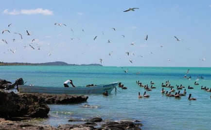 Denuncian nuevos robos a pescadores en altamar en Yucatán
