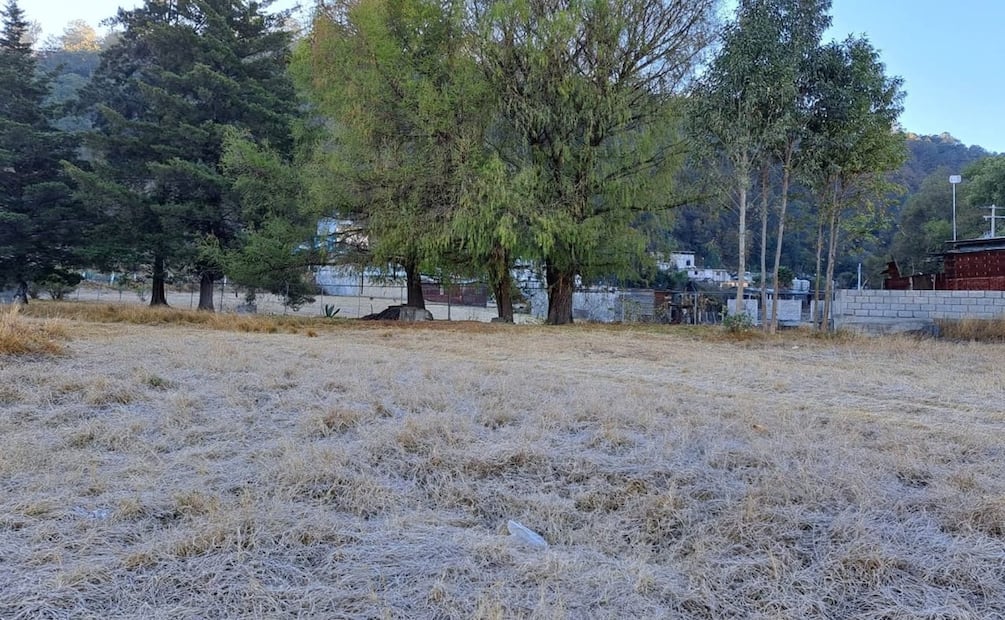 Foto: Ricardo Bautista / Especial