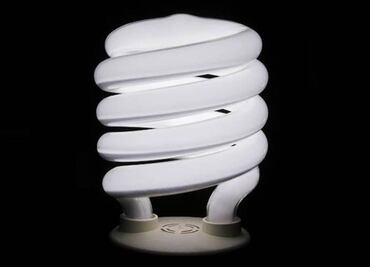 Proponen aprovechar valor energético y económico de excrementos