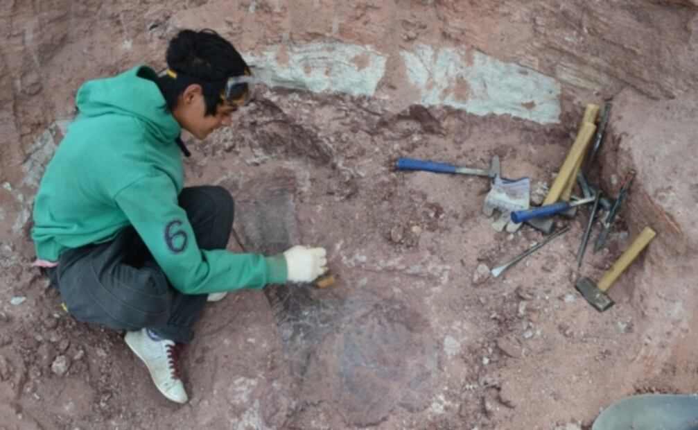 El titanosaurio más antiguo del mundo, descubierto en la Patagonia Argentina