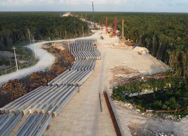 Tren Maya: Tramos 5, 6 y 7 destruyeron más de 6 mil hectáreas de selva, revela estudio