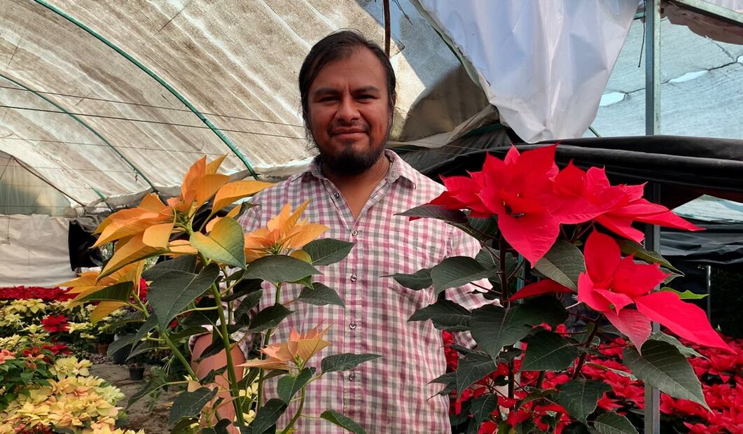El chinampero José Luis García, es parte de la cuarta generación de productores del barrio de Coltongo, en donde este año produjo más de 8 mil nochebuenas de diferentes tamaños, el 3 de diciembre de 2025. Foto: Alberto González/EL UNIVERSAL
