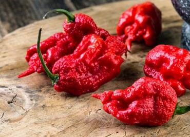 El chile más picante del mundo deja migraña como "de relámpago"