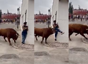 VIDEO: Mujer recibe fuerte cornada de un toro mientras ella estaba en el celular