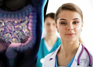 Lactobacillus Casei Shirota y Microbiota intestinal Aliados para fortalecer nuestro sistema inmunológico