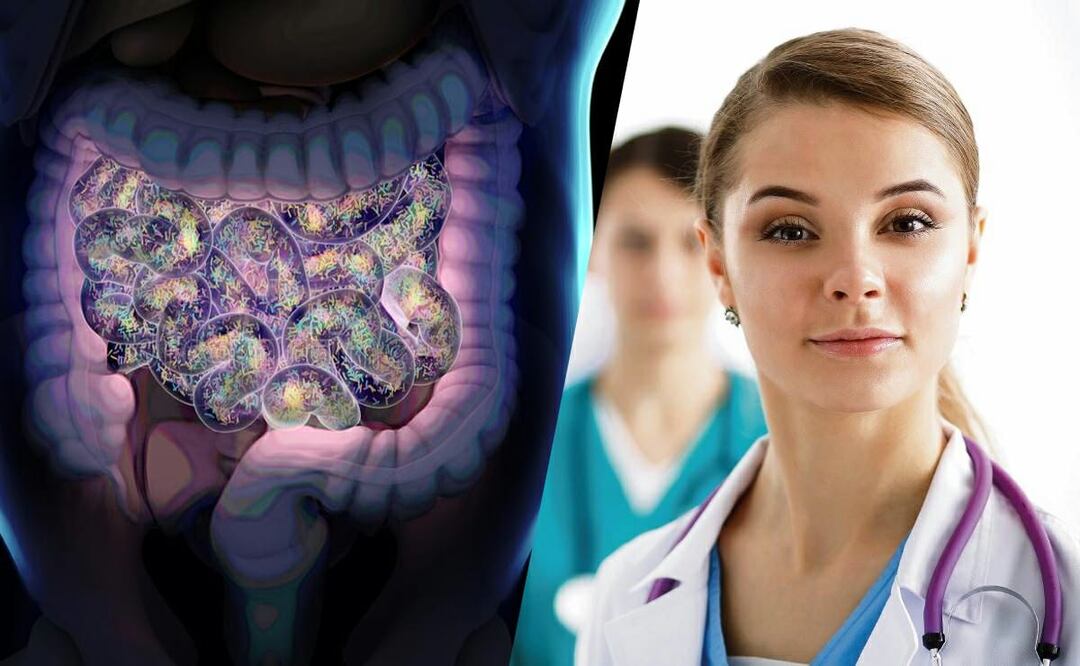 Lactobacillus Casei Shirota y Microbiota intestinal Aliados para fortalecer nuestro sistema inmunológico